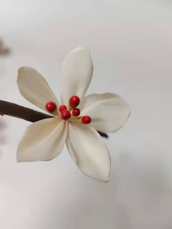 Fragancia Difusor Sola Sola Flores para frescura del aire