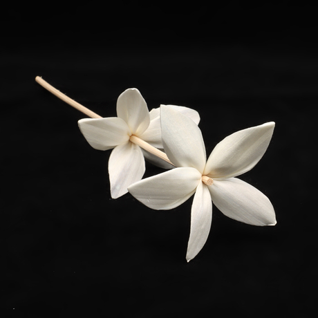 100% hecho a mano Natural de color blanco Difusor de ratán Rose seco Sola Wood Flores para decoración