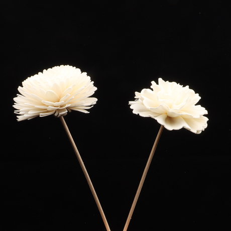 Difusor AA de calidad de calidad FLORA DE MADERA DE MADERA DE MADERA DE MADERA DE MADERA DE MADER