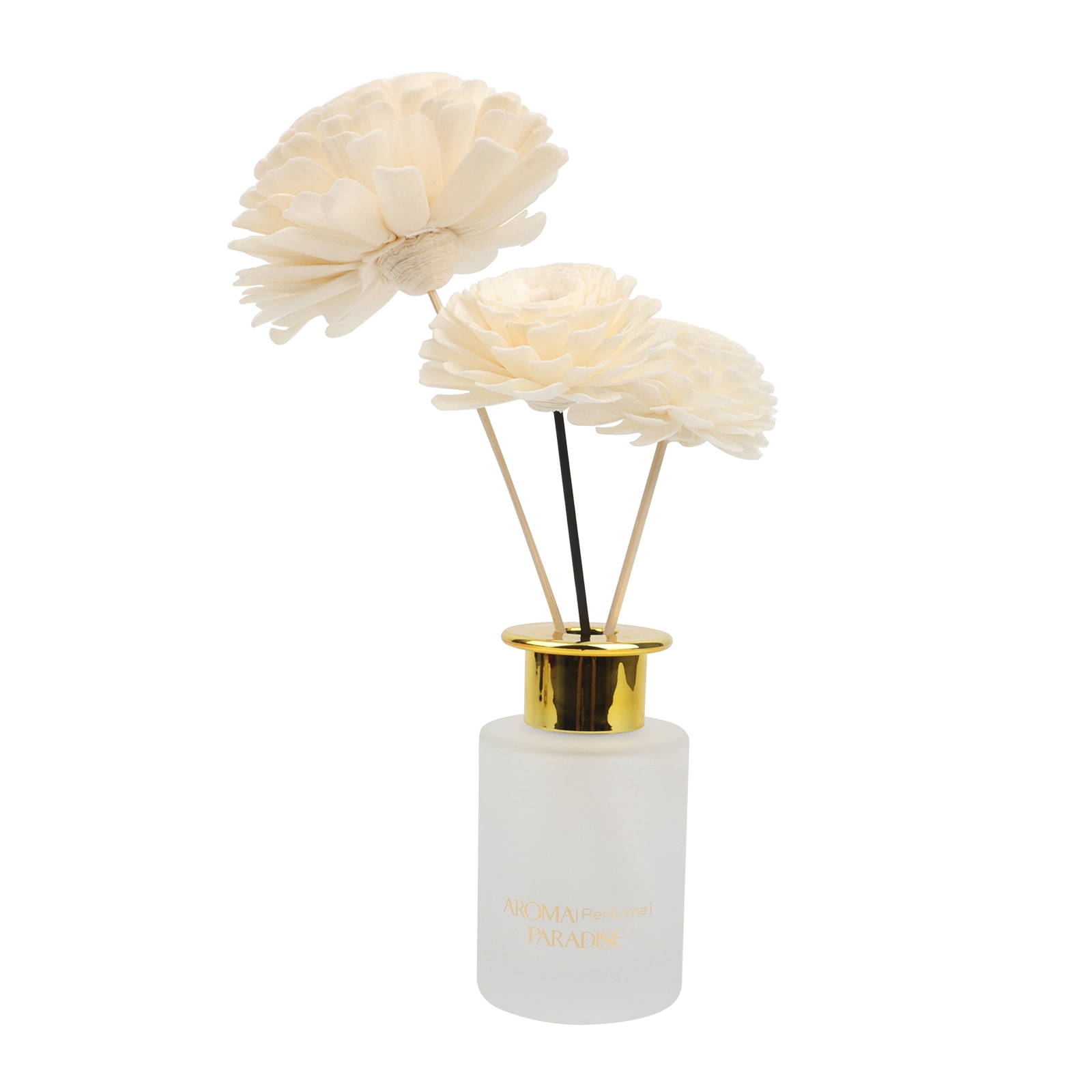 Luxury Glass Bottle Room Fragance Fragance Reed Diffu (2) 
