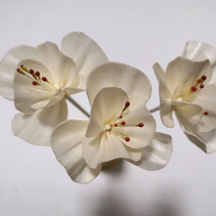 Flores de sola de difusor de aroma de alta calidad para la decoración